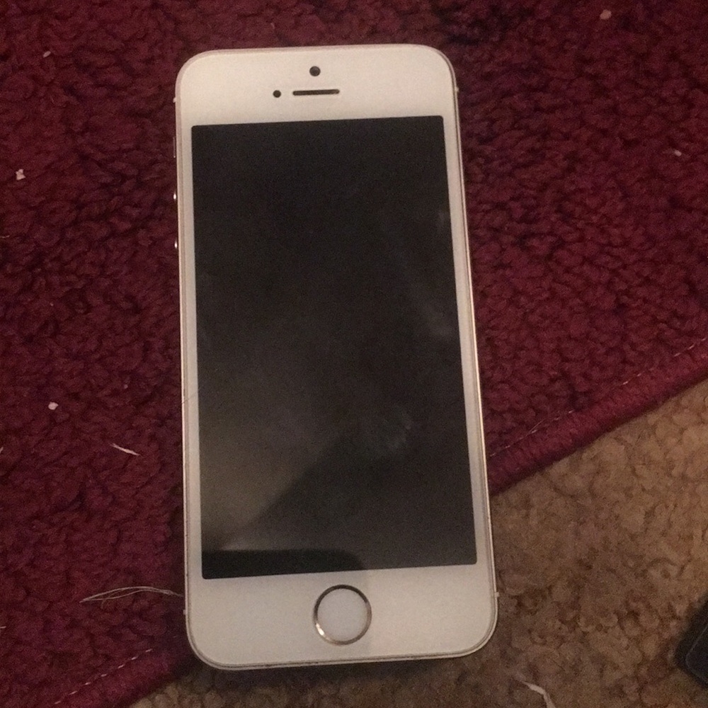 iPhone 5s with a case